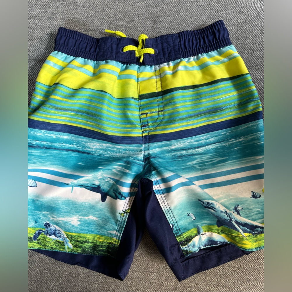 Joel fresh swim shorts.